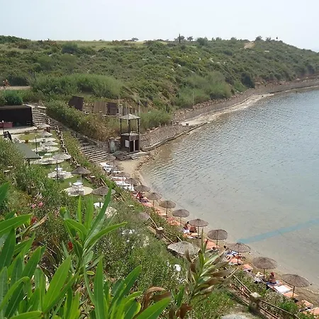 Toni * Burgas